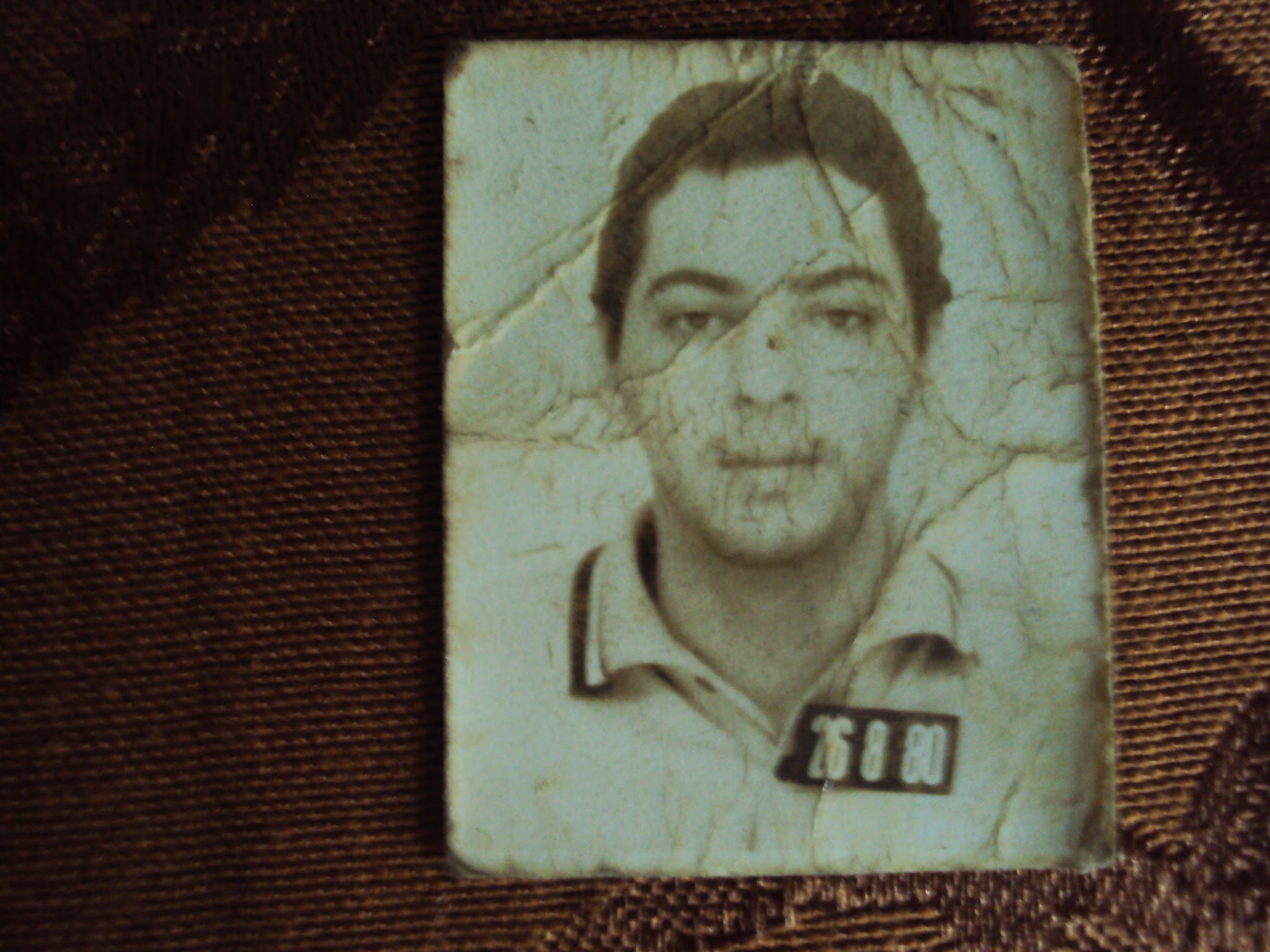 Heber foi o nosso segundo filho (1952-1986).